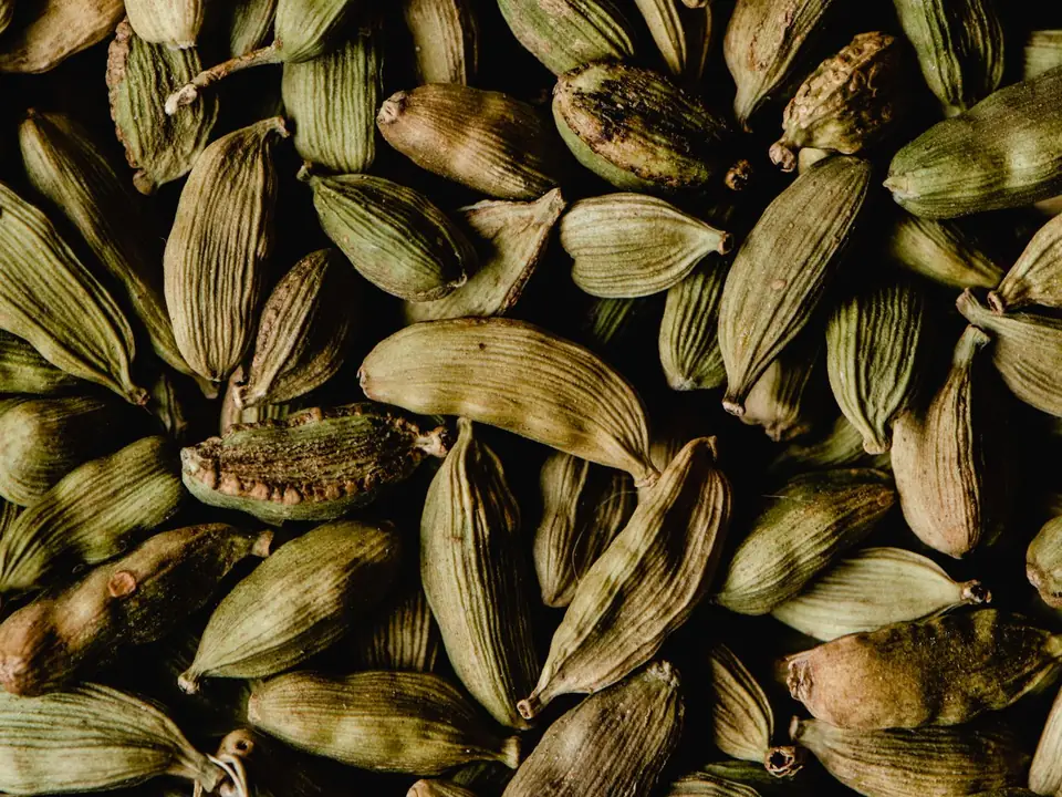 Cardamom – B5 International Exim