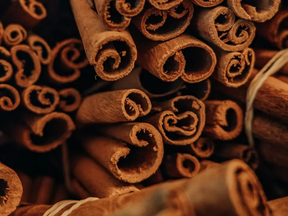 Cinnamon – B5 International Exim