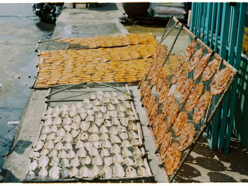 Dried fish – B5 International Exim