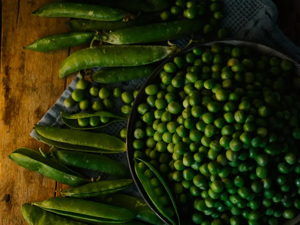 Green peas – B5 International Exim
