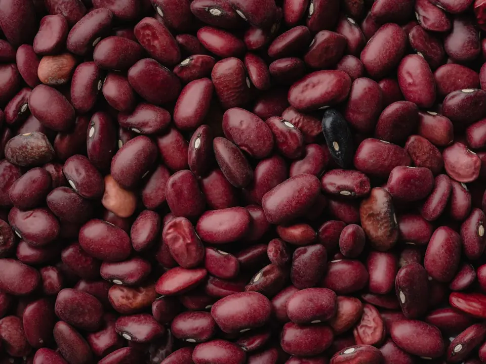 Kidney beans (rajma) – B5 International Exim