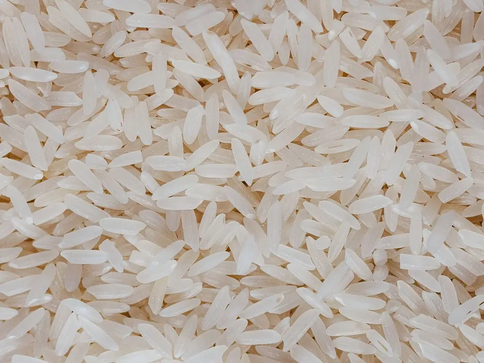 Non-basmati rice – B5 International Exim