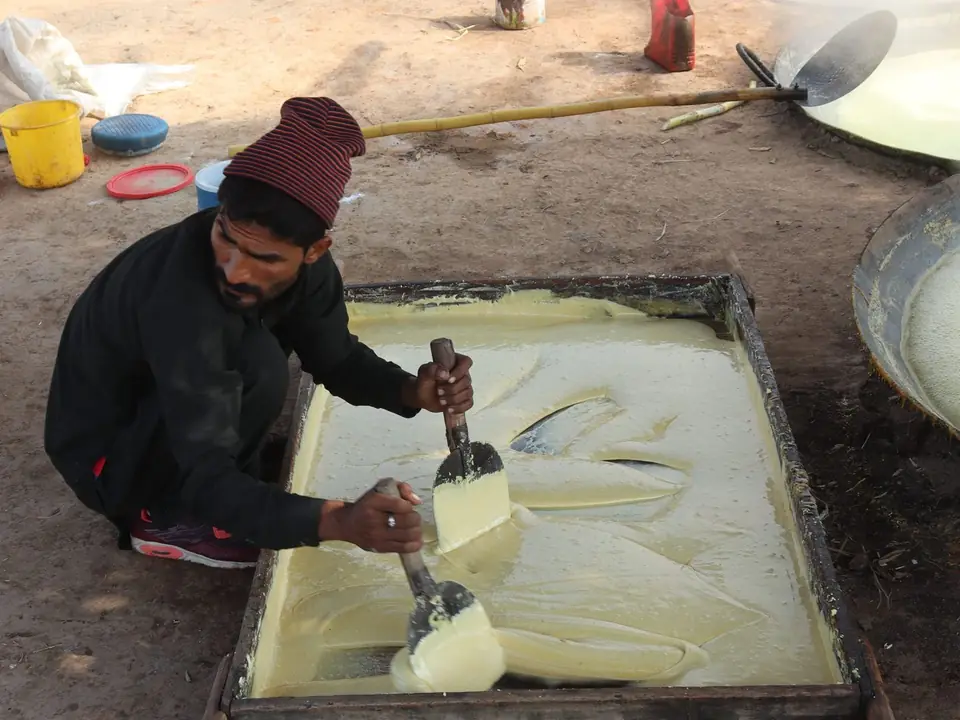 Traditional unrefined sugar products – B5 International Exim