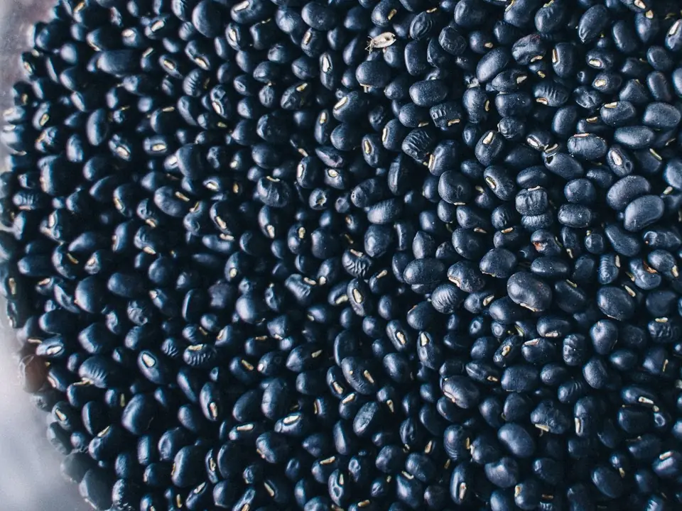 Urad dal – B5 International Exim